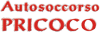 AUTOSOCCORSO PRICOCO