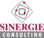 SINERGIE CONSULTING srl