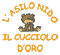 ASILO IL CUCCIOLO D ORO