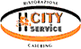 CITY SERVICE srl