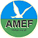 AMEF MULTISERVICE srl