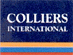 COLLIERS REAL ESTATE SERVICES srl