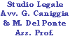 STUDIO LEGALE AVV. G. CANIGGIA  M. del PONTE ASS. PROF.