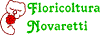 FLORICOLTURA NOVARETTI di M. NOVARETTI  C. snc