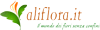 ALIFLORA