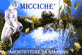 MICCICHaË† snc