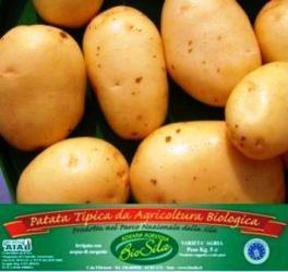 Patate biologiche calabresi della Sila   