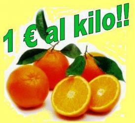 Le arance Tarocco della Calabria a prezzo speciale.