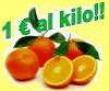 Le arance Tarocco della Calabria a prezzo speciale.