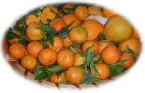 Arance/clementine Calabria Arance/clementine Calabria